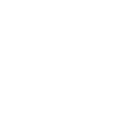 Planned and emergency treatment icon